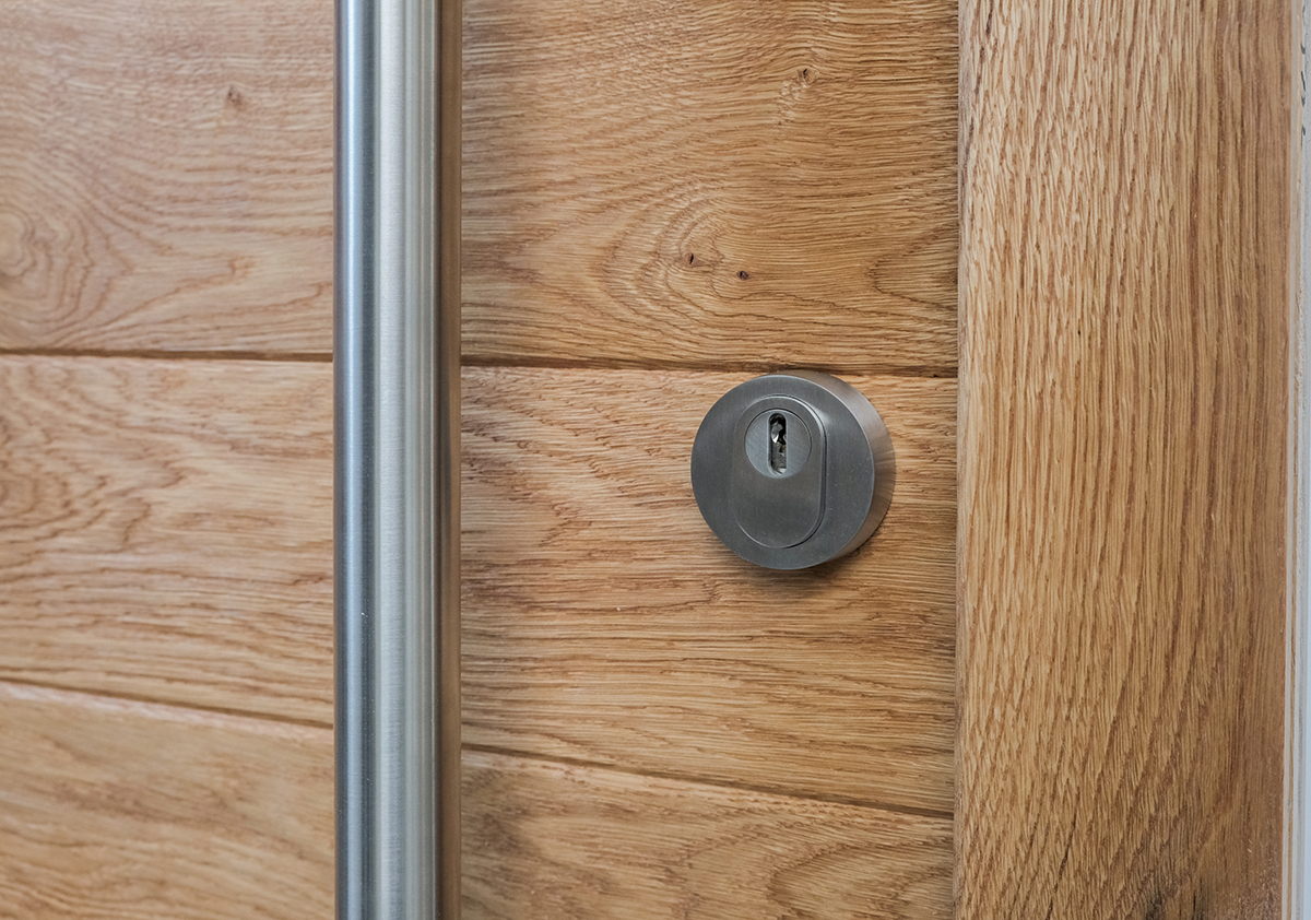 Astoptik Haustür mit Rosette und Stoßgriff