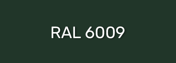 RAL 6009