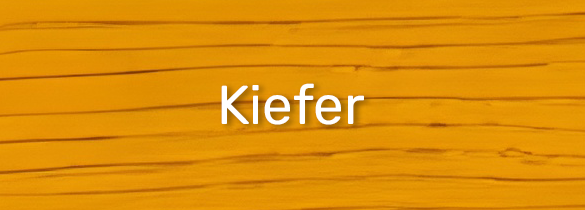 Kiefer